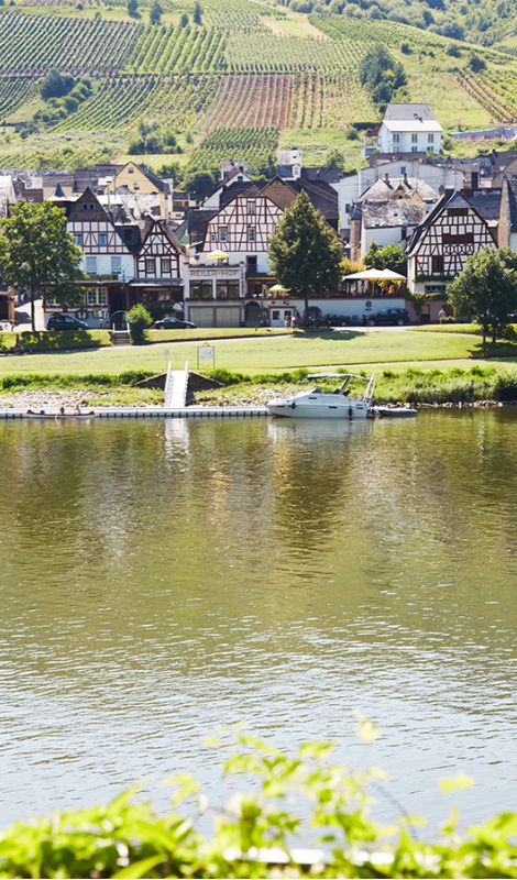 Blick über die Mosel zum Hotel Reiler Hof
